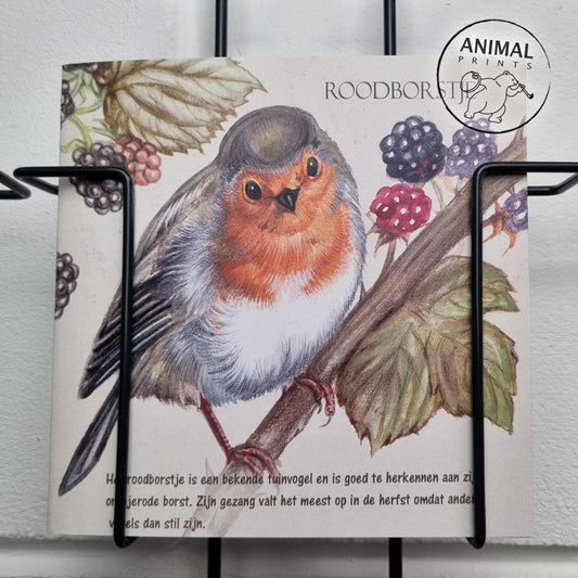 Square card - Robin (bird print)