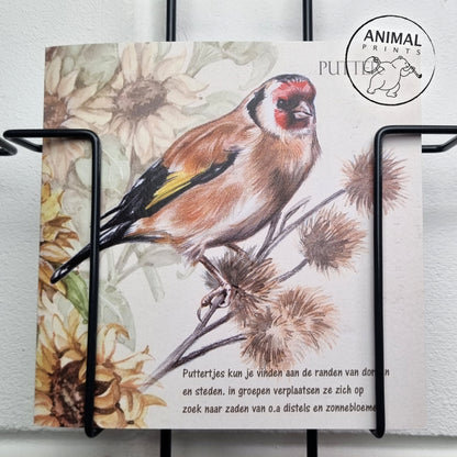Vierkante kaart - Putter (vogel print)