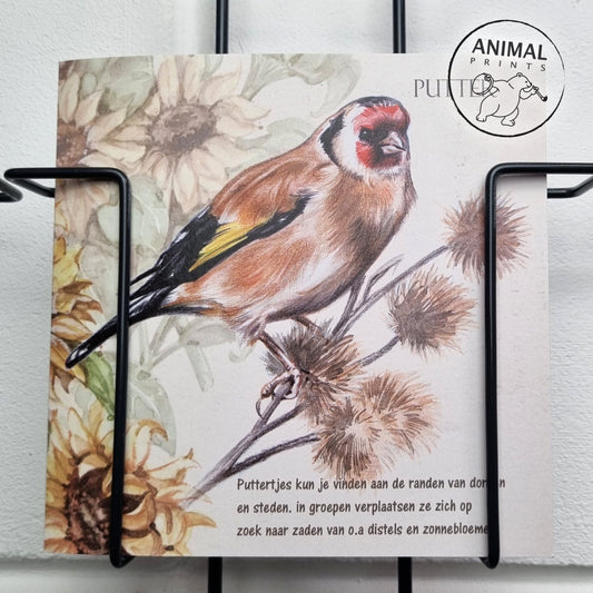 Square card - Goldfinch (bird print)