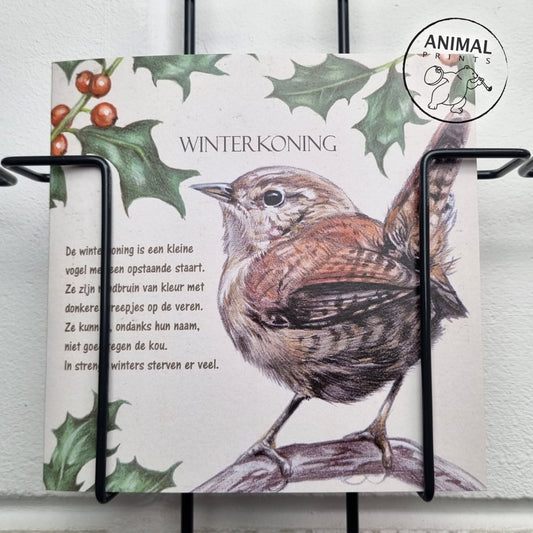 Square card - Wren (Bird print)