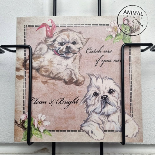 Square Card - Catch Me If You Can - Clean &amp; Bright (Maltese)