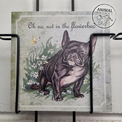 Quadratische Karte - Oh nein, nicht im Blumenbeet (Hund, Französische Bulldogge)