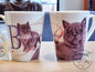 Tasse Britisch Kurzhaar - Britisch Kurzhaar