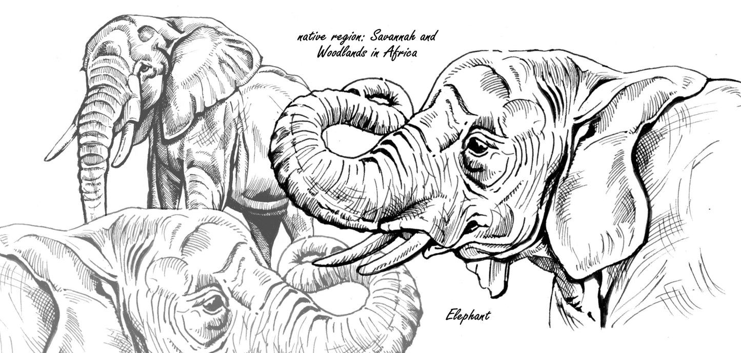 Tassenserie Wildtiere – Elefant