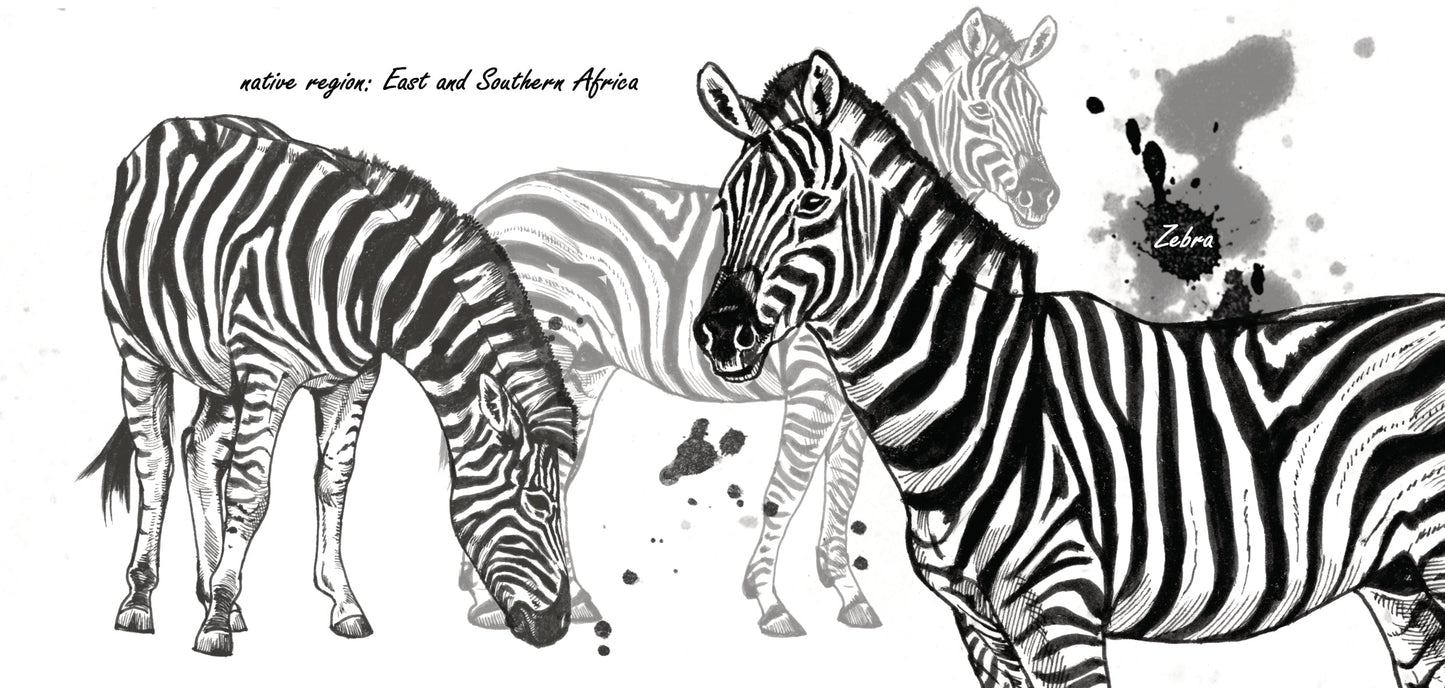Tassenserie „Wildtiere“ – Zebra