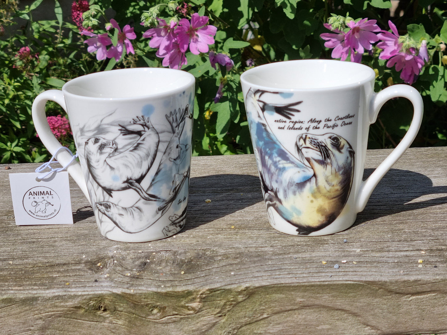 Mug series Wildlife - Sea Lion