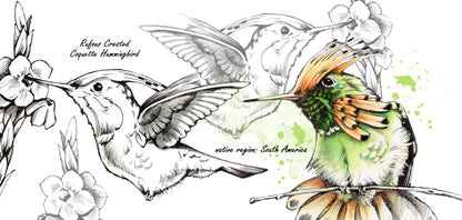 Tassenserie Wildtiere – Kolibri