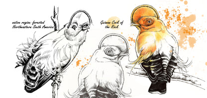 Mug series Wildlife - Orange Cock-of-the-Rock
