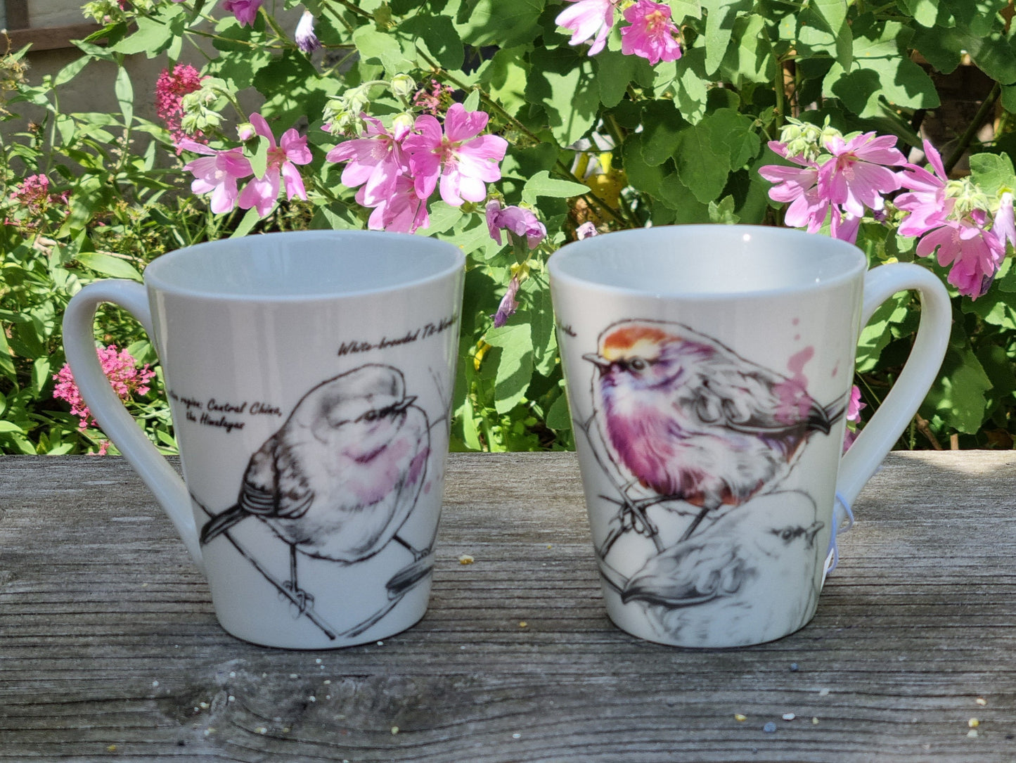 Tassenserie Wildtiere - Buschkäfer