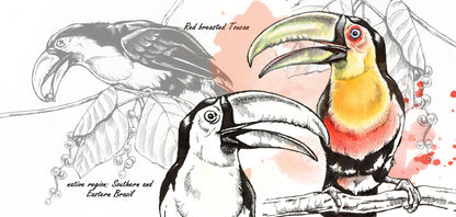 Mug series Wildlife - Toucan