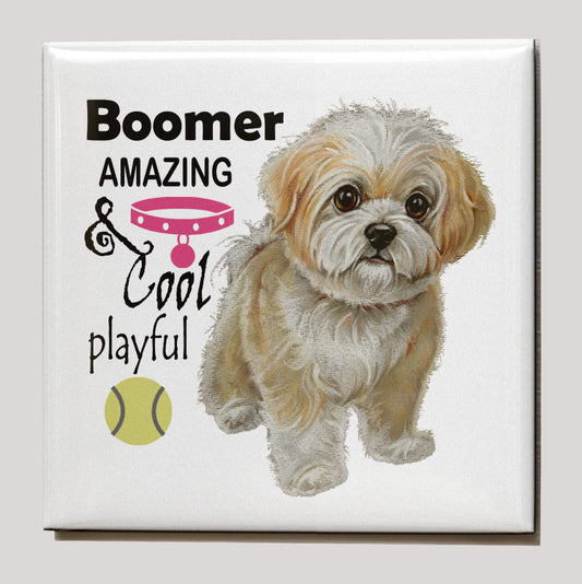 Koelkastmagneet - Boomer met tekst