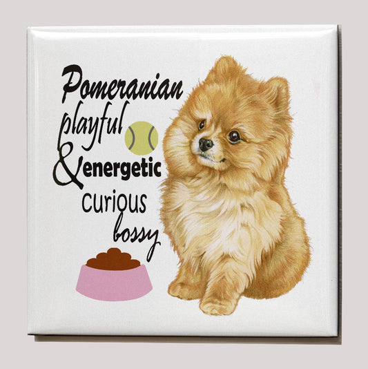 Koelkastmagneet - Pomeriaan met tekst