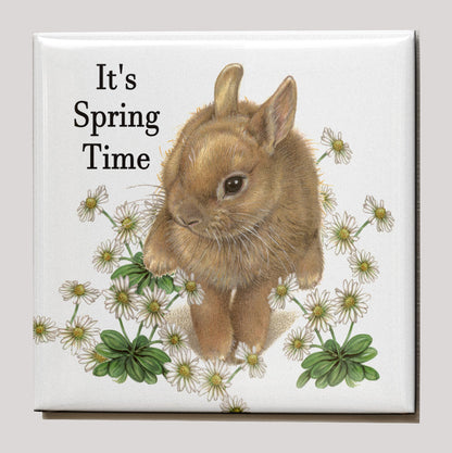 Koelkastmagneet - Konijn "It's Spring Time