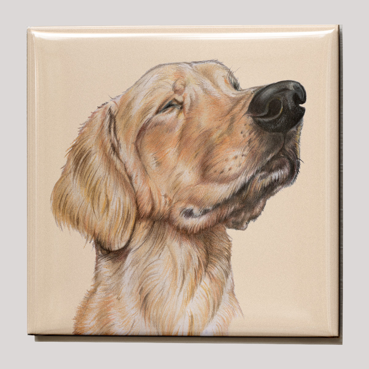 Koelkastmagneet - Labrador Retriever