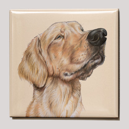 Koelkastmagneet - Labrador Retriever