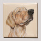 Koelkastmagneet - Labrador Retriever