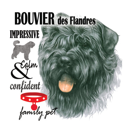Koelkastmagneet - Bouvier