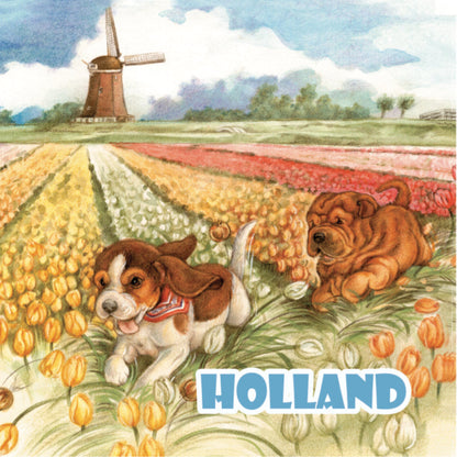 Koelkastmagneet - Hollandse Bloembollenvelden