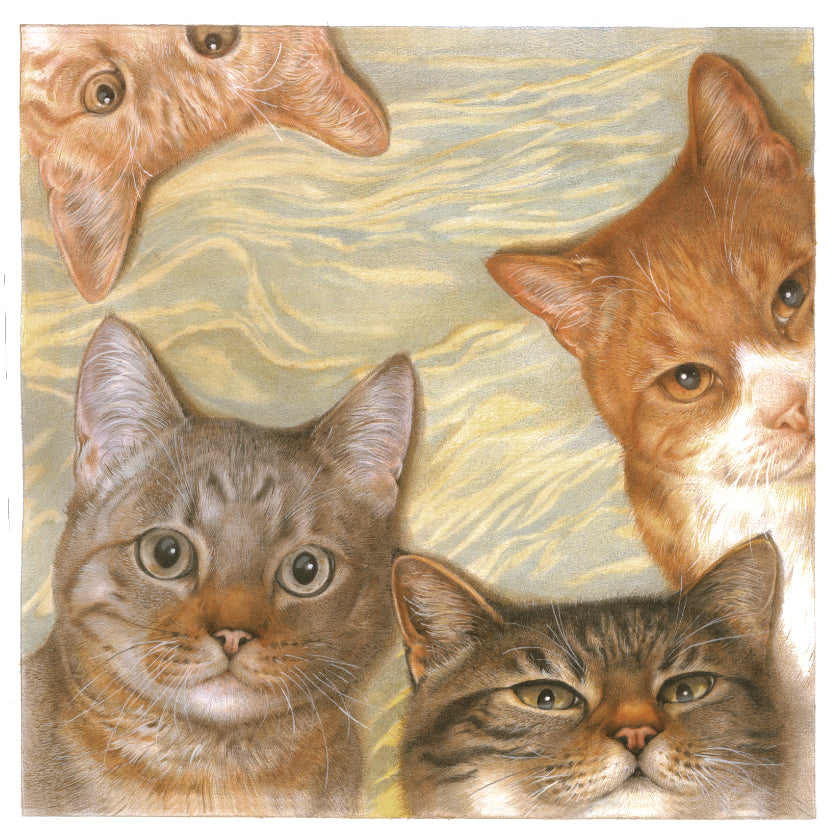Koelkastmagneet - Kattencollage