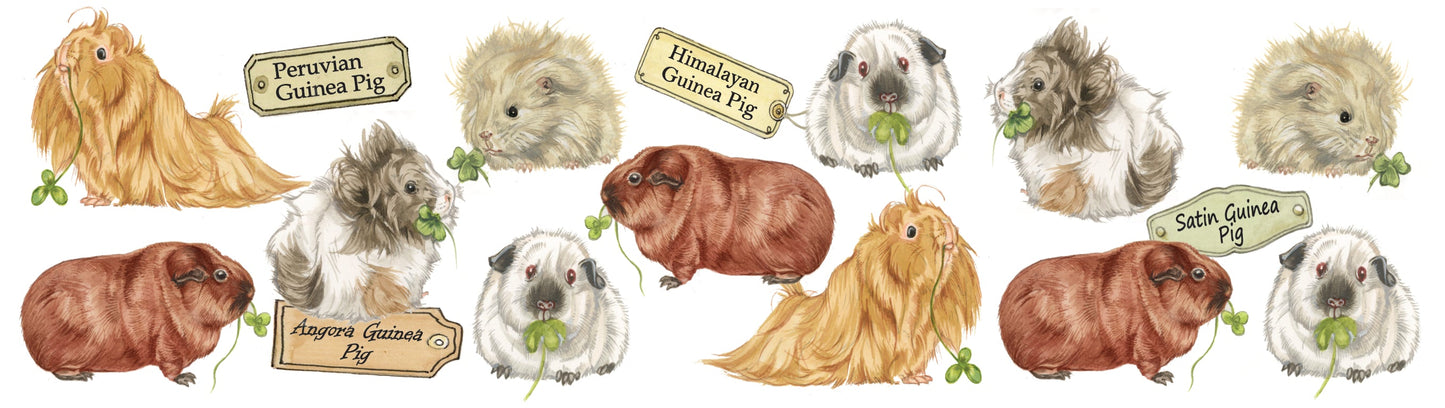 Mokken met collage - Cavia's - design 1