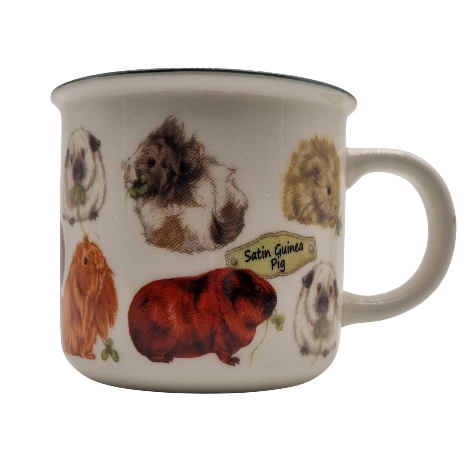 Mokken met collage - Cavia's - design 1