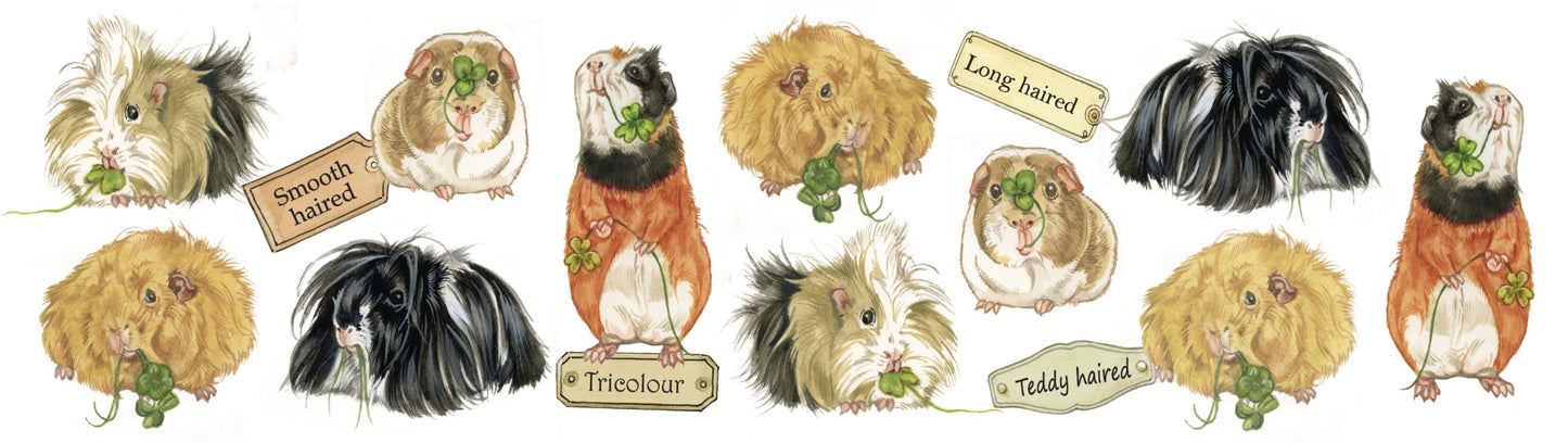 Mokken met collage - Cavia's - design 2