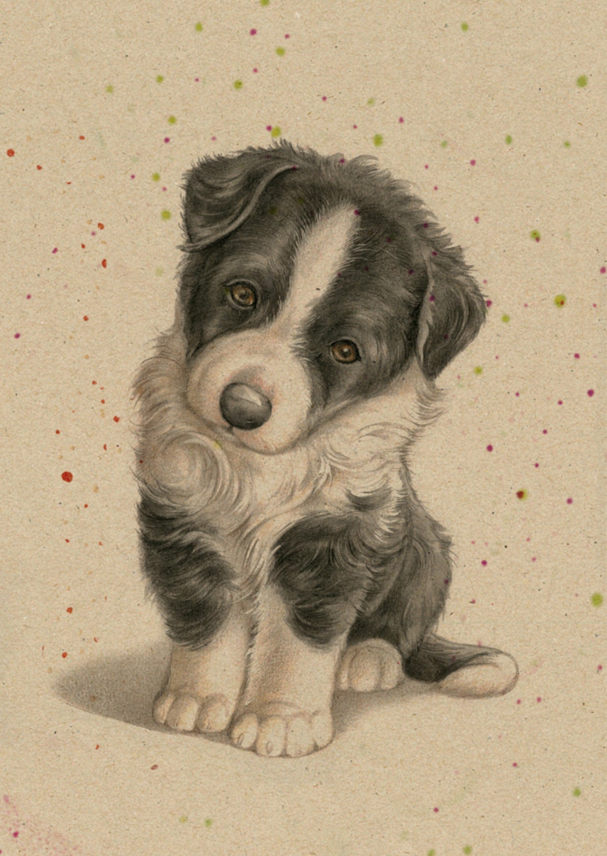 Kraftpapierkarte im A6-Format (Postkarte) - Kartennummer 1 - Border Collie (5er-Packung)