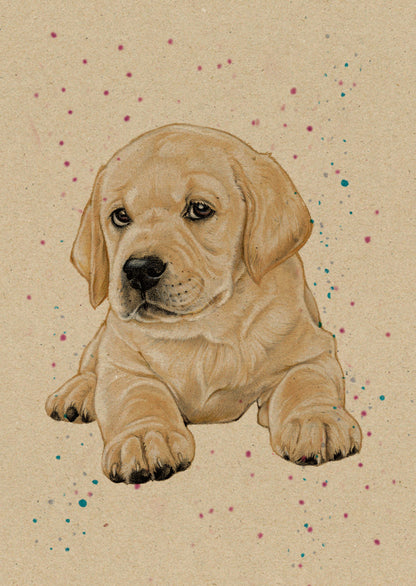 A6 Kraftpapierkarte (Postkarte) - Kartennummer 2 - Blonder Labrador (5er-Packung)