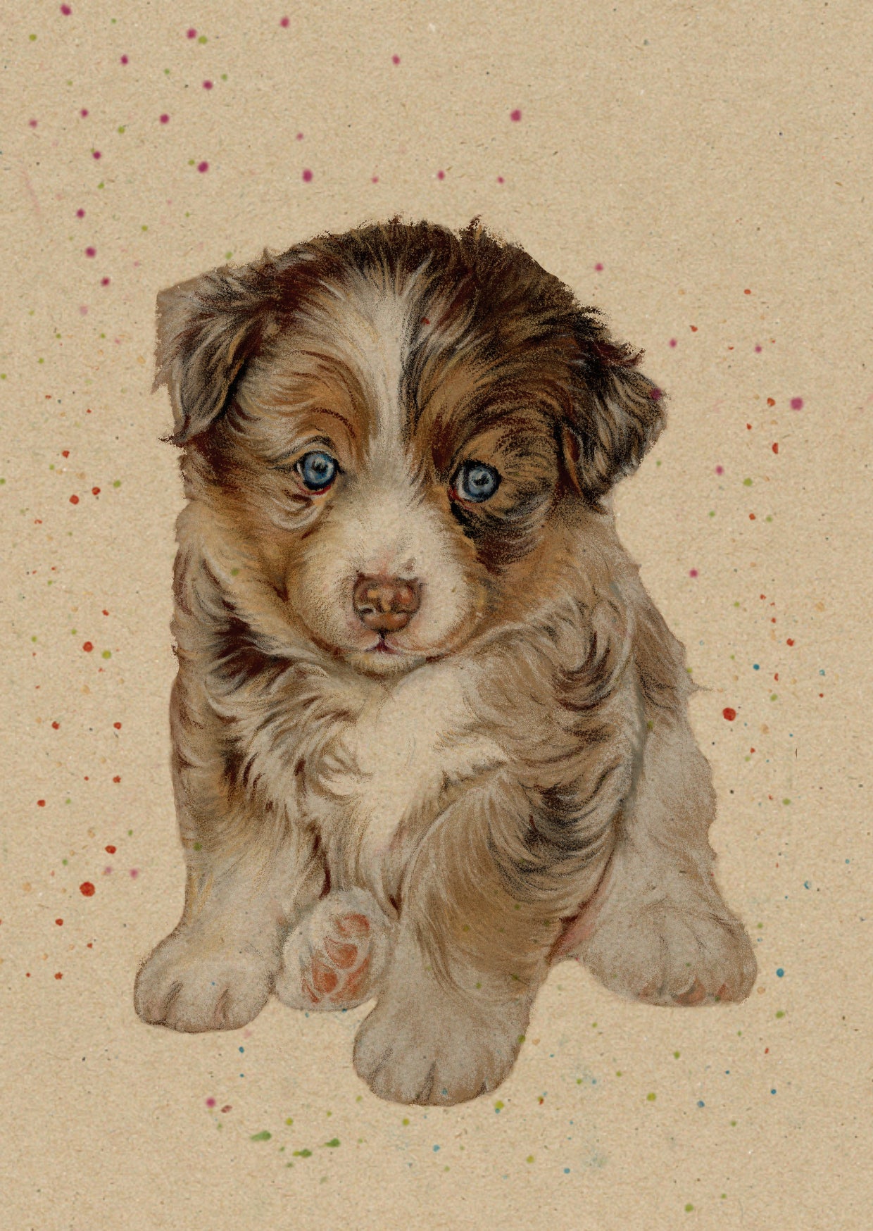 Kraftpapierkarte im A6-Format (Postkarte) - Kartennummer 5 - Australischer Schäferhundwelpe (5er-Packung)