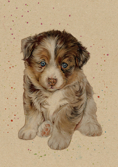 Kraftpapierkarte im A6-Format (Postkarte) - Kartennummer 5 - Australischer Schäferhundwelpe (5er-Packung)