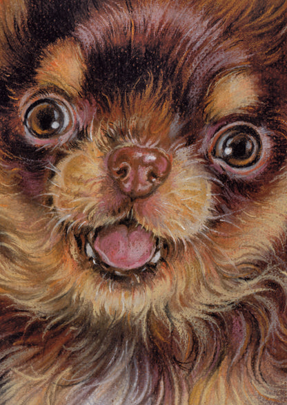 Kraftpapierkarte im A6-Format (Postkarte) - Kartennummer 13 - Chihuahua (5er-Packung)