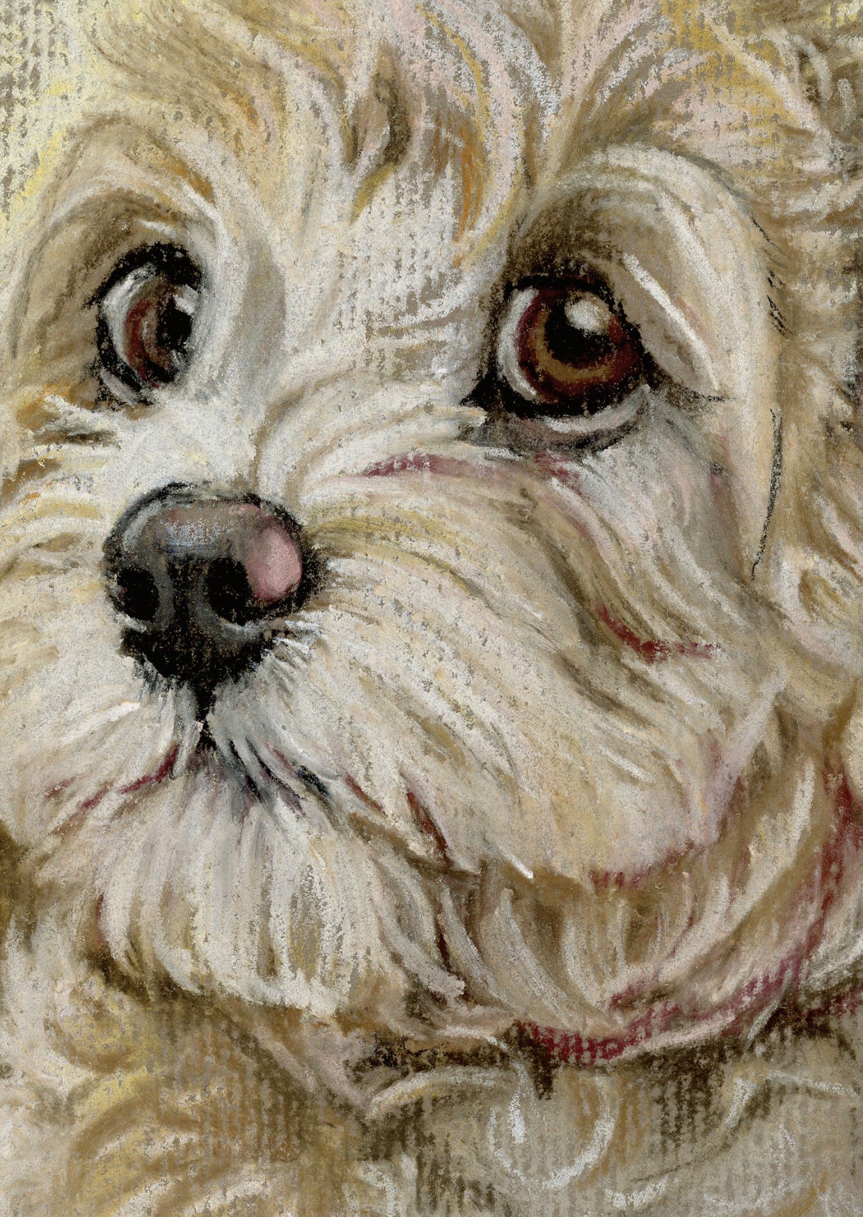 A6-sized kraft card (postcard) - card number 14 - Labradoodle (pack of 5)