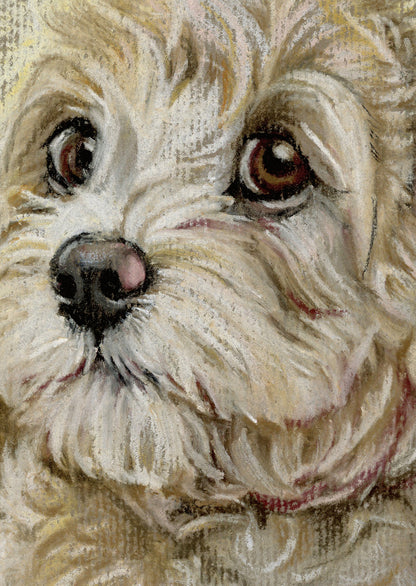 A6-sized kraft card (postcard) - card number 14 - Labradoodle (pack of 5)