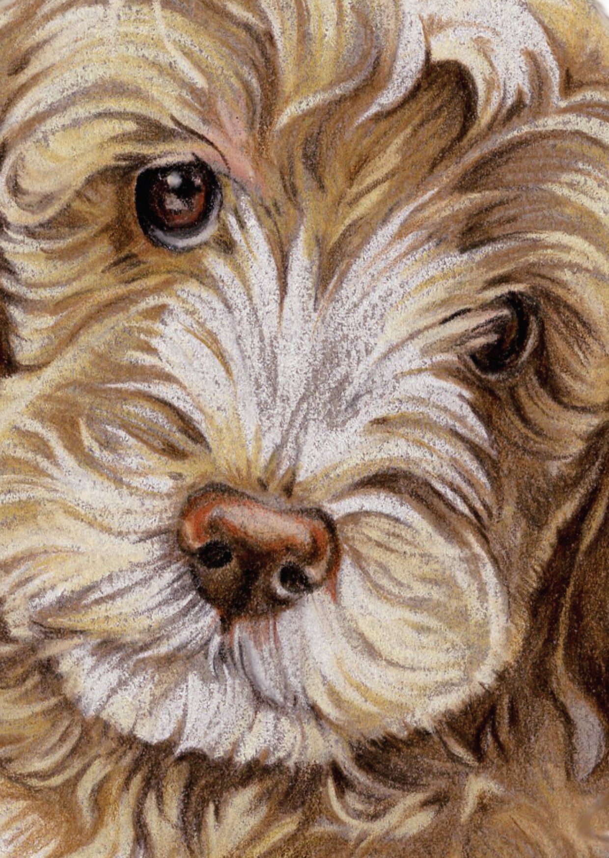Kraftpapierkarte im A6-Format (Postkarte) - Kartennummer 15 - Labradoodle (5er-Packung)