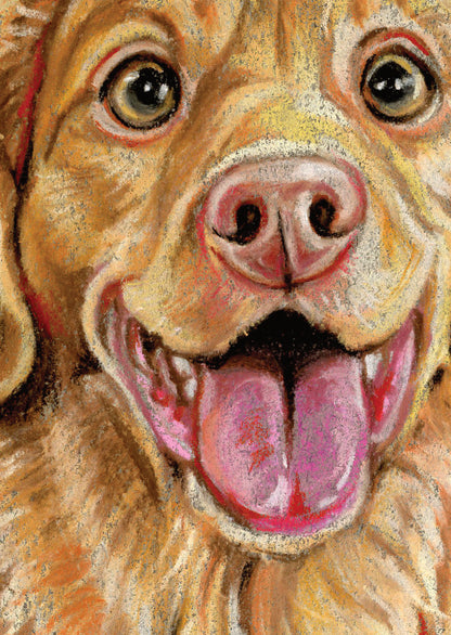 A6-sized kraft card (postcard) - card number 20 - Nova Scotia Duck Tolling Retriever (pack of 5)