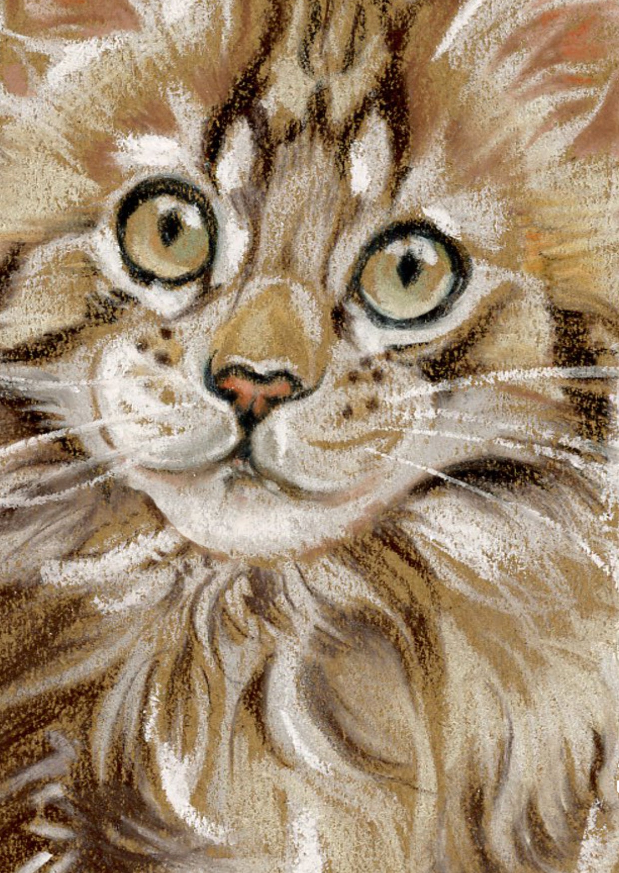 Kraftpapierkarte im A6-Format (Postkarte) - Kartennummer 21 - Maine Coon (5er-Packung)