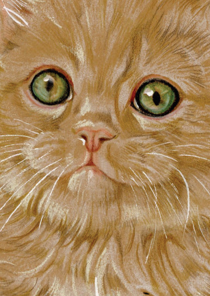 A6 Kraftpapierkarte (Postkarte) - Kartennummer 24 - Rote Katze / (5er-Packung)