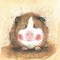 Karte Alex Clark - AC 412