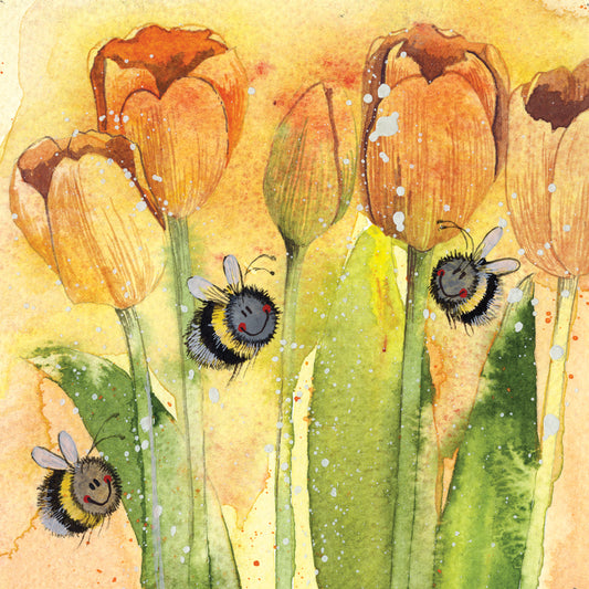 Map Alex Clark - AC 795