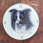 Klok Border Collie