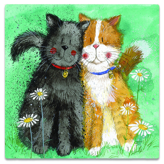 Alex Clark – Kühlschrankmagnet – Katzen 