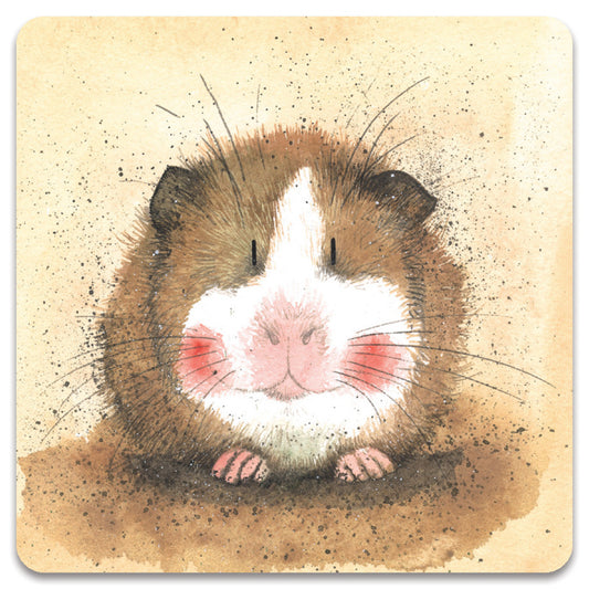 Alex Clark – Kühlschrankmagnet – Meerschweinchen 