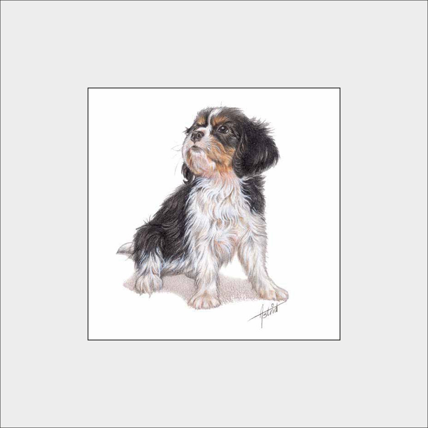 Reproductie "Cavalier King Charles Spaniels".