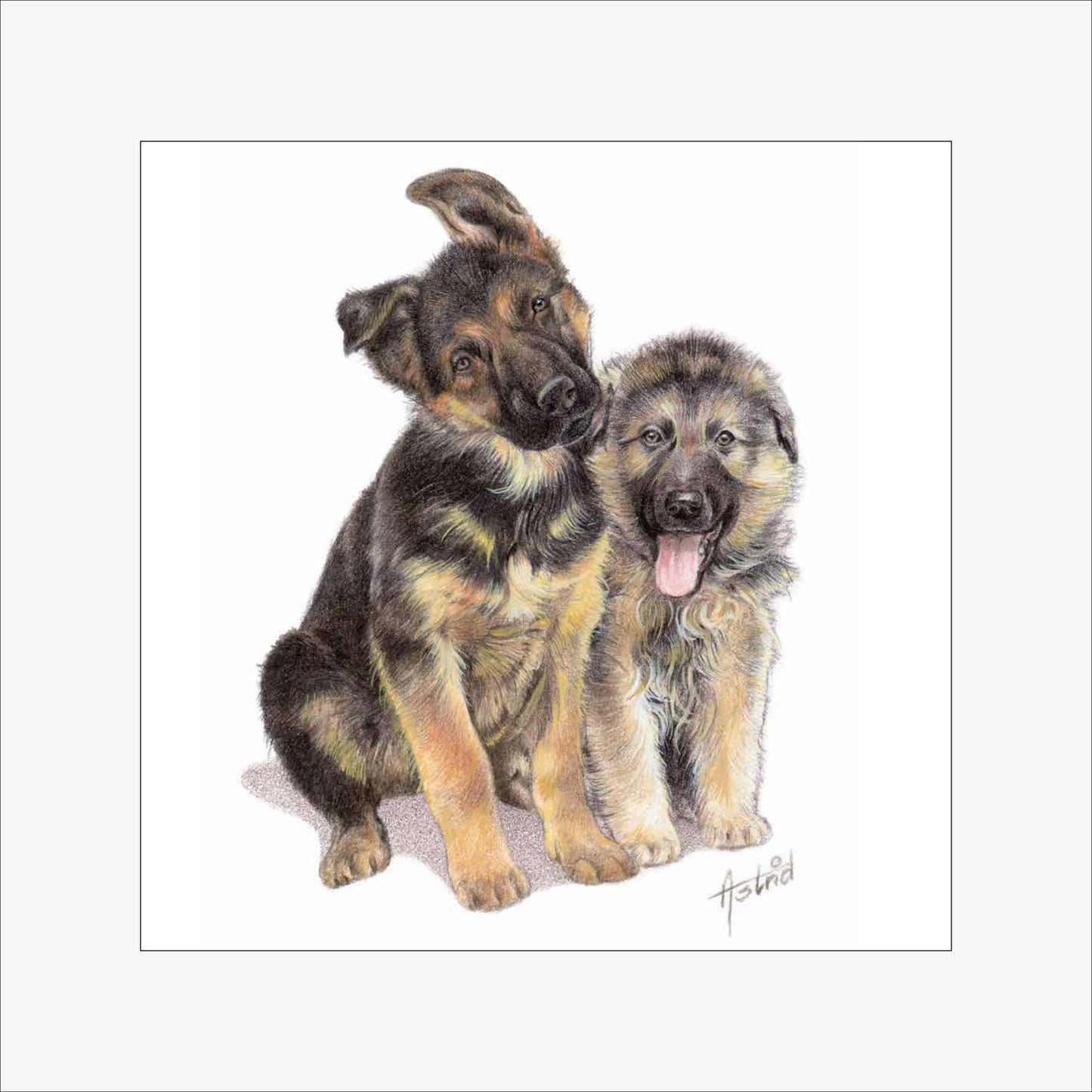 Reproductie "Herderpups".