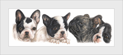 Reproductie "Franse Bulldog pups".