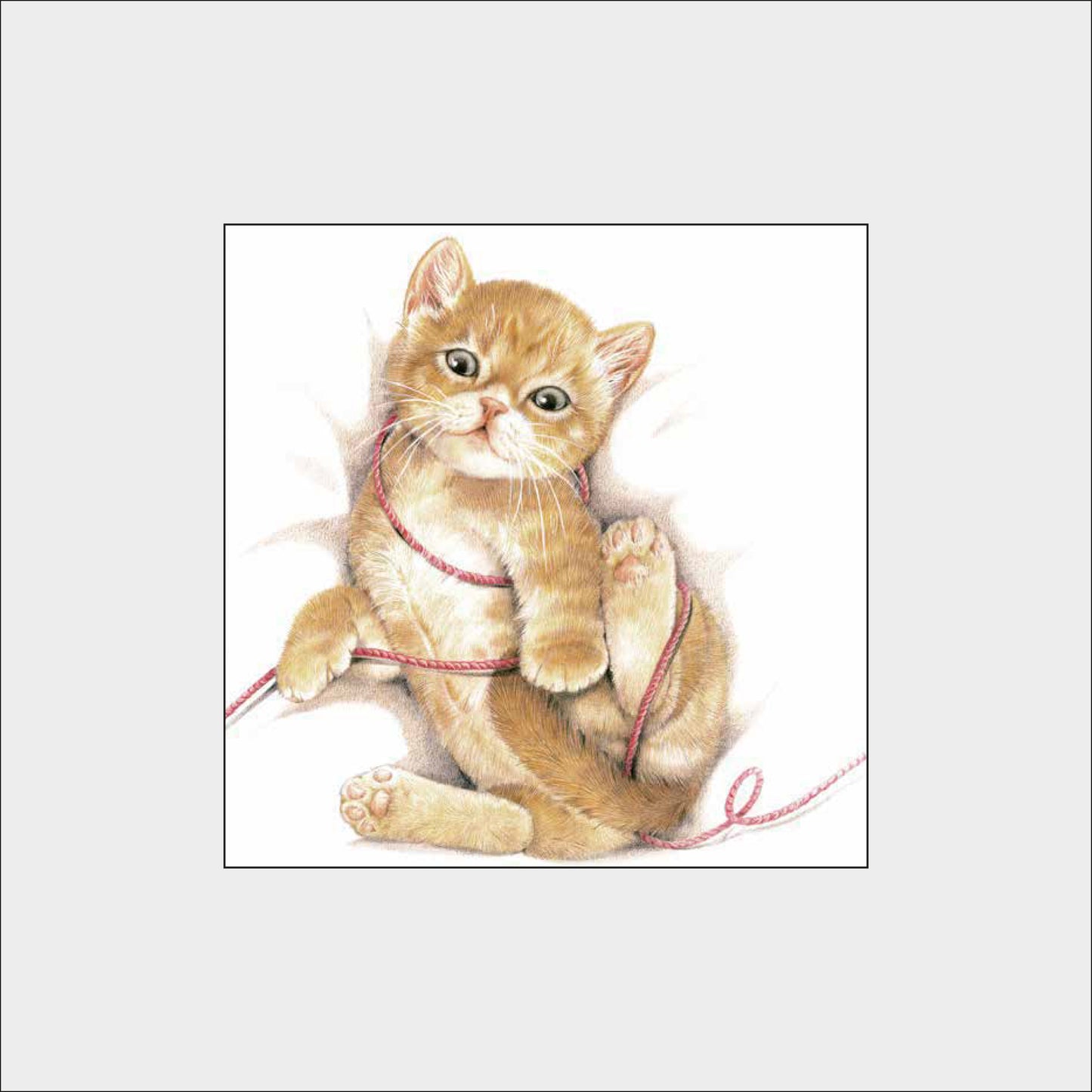 Reproductie "Liggende kat met wol"