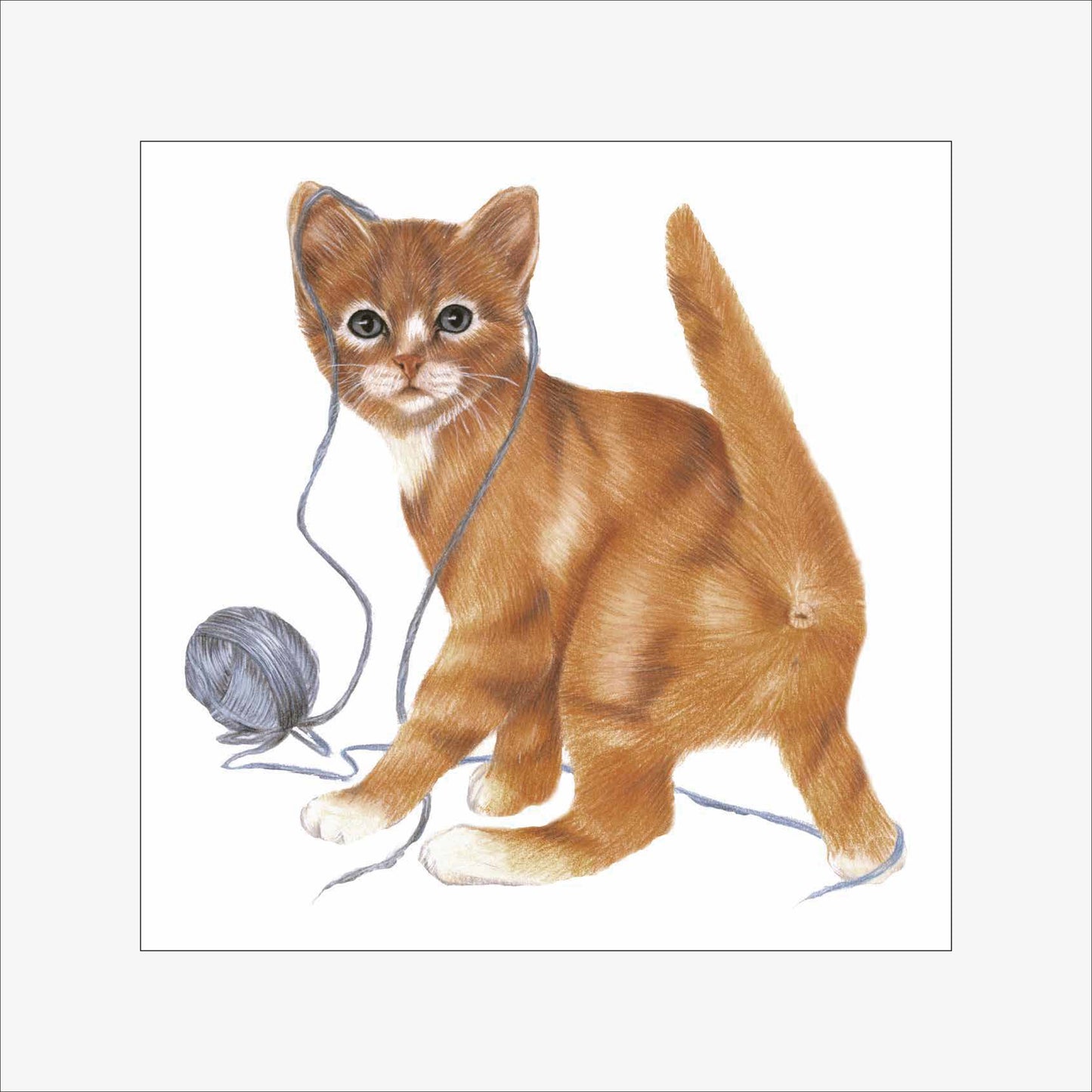 Reproduction "Cat with Wool".