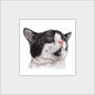 Reproduktion "Katzenkopf: