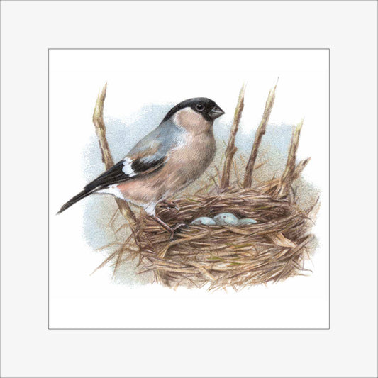 Reproductie "Vogelnestje".