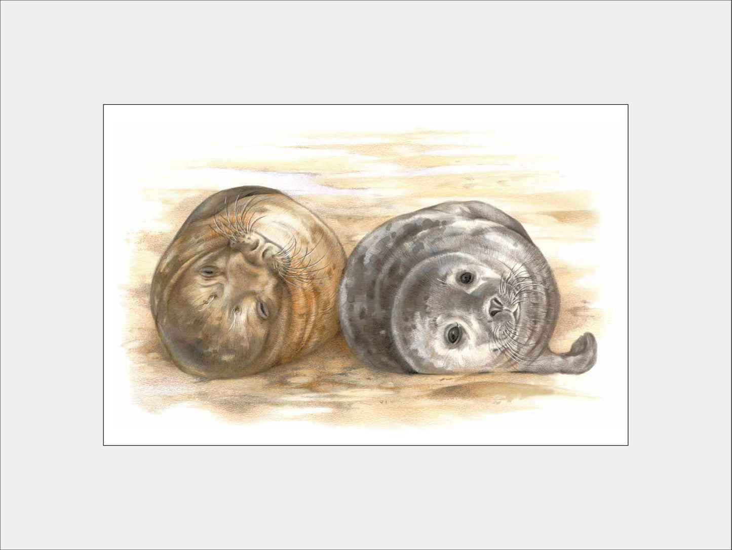 Reproductie "2 Zeehonden".